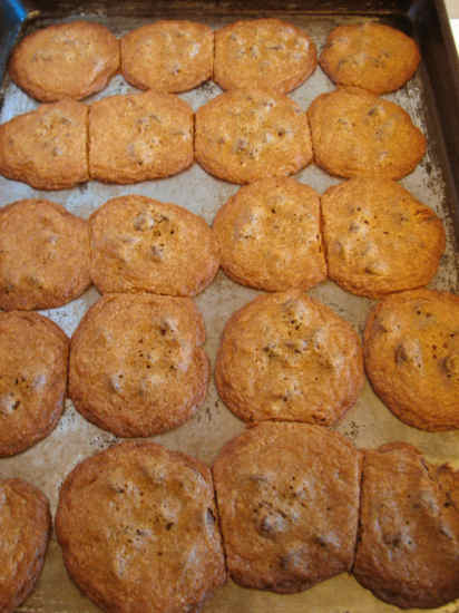 full tray
