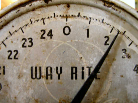 scale