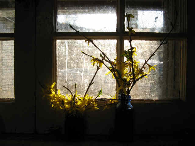 hope in the dark
