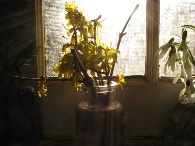 light pouring in